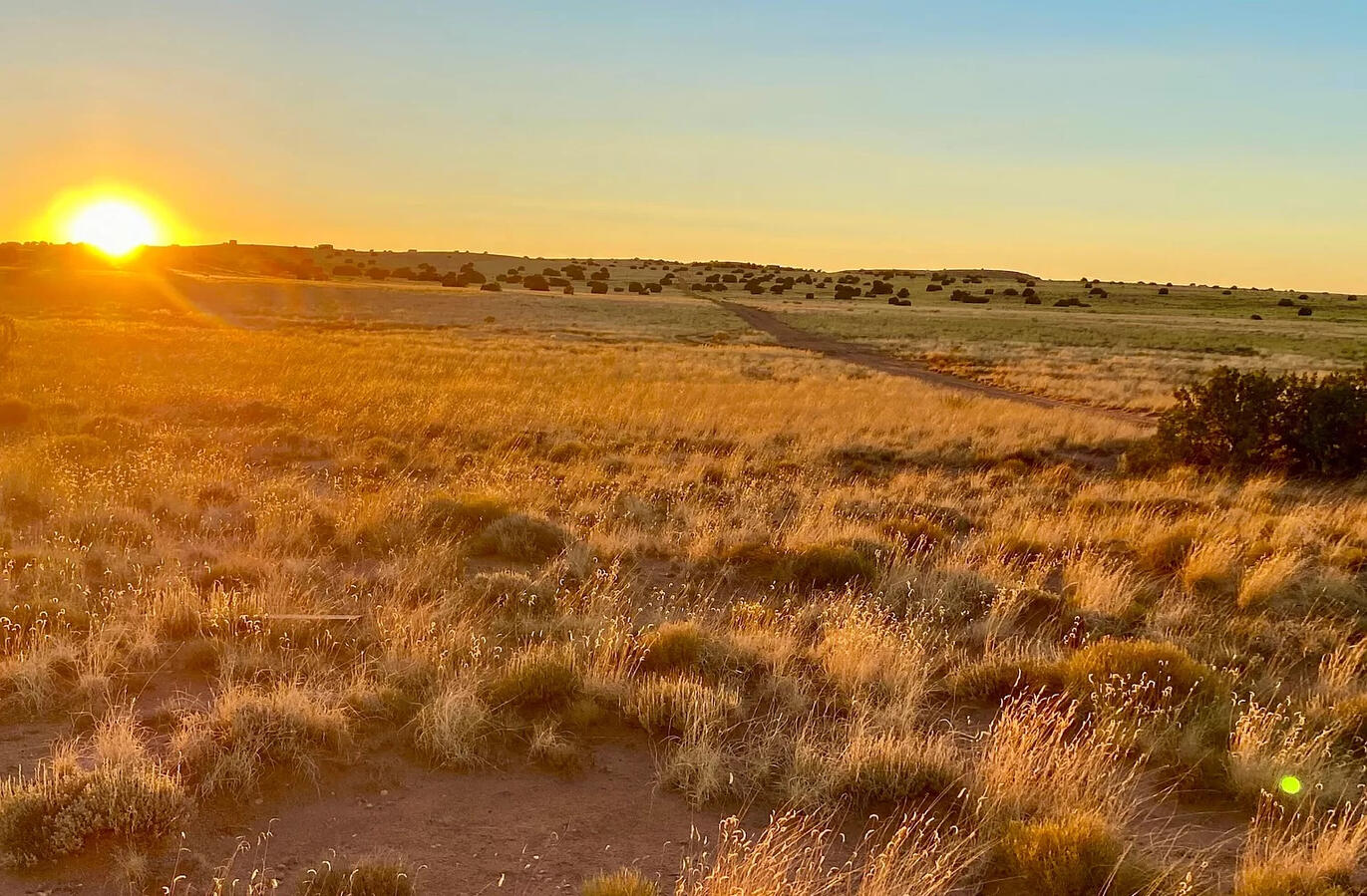 South big lot, Hill - 3992 Sorrel Rd, Snowflake, AZ 85937, USA