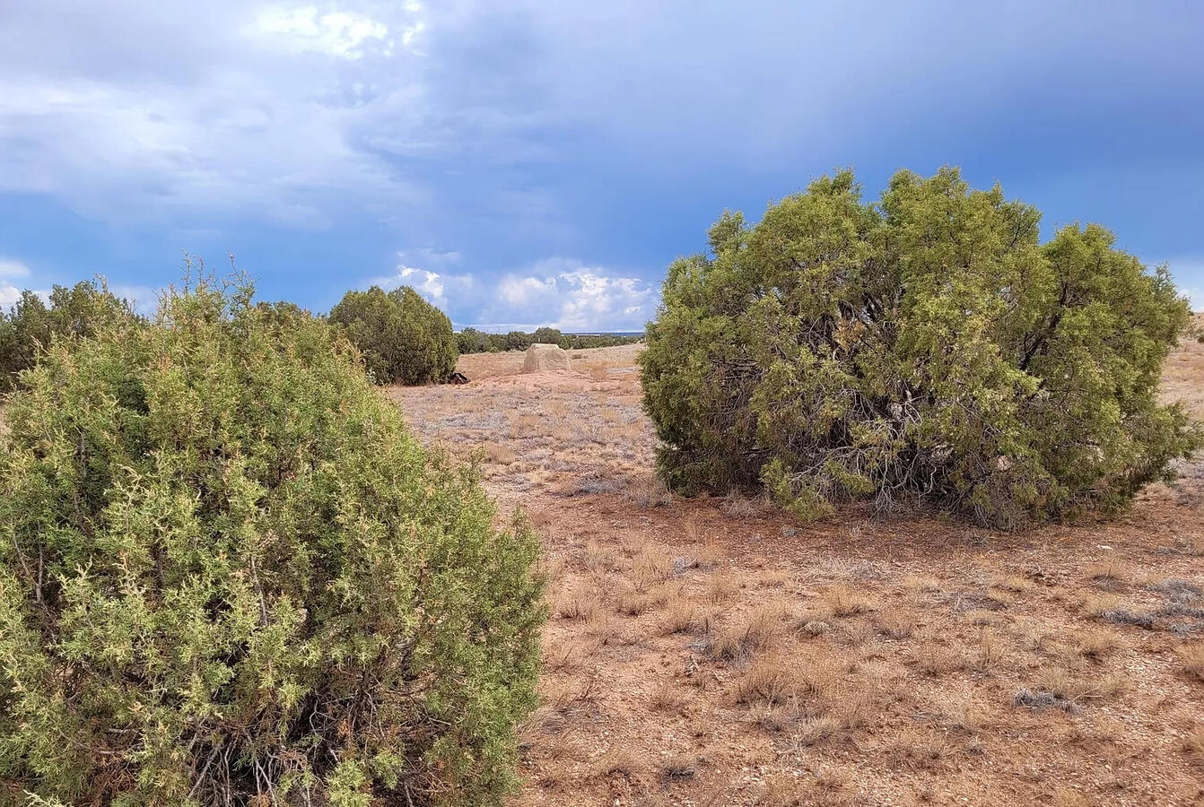 South big lot, Hill - 3992 Sorrel Rd, Snowflake, AZ 85937, USA