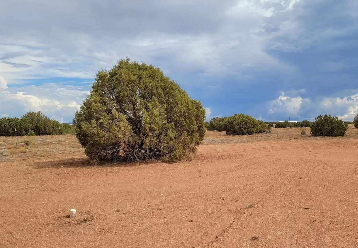 South big lot, Hill - 3992 Sorrel Rd, Snowflake, AZ 85937, USA